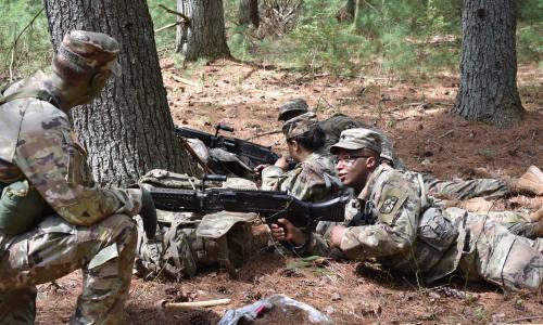 CDTs conducting defense
